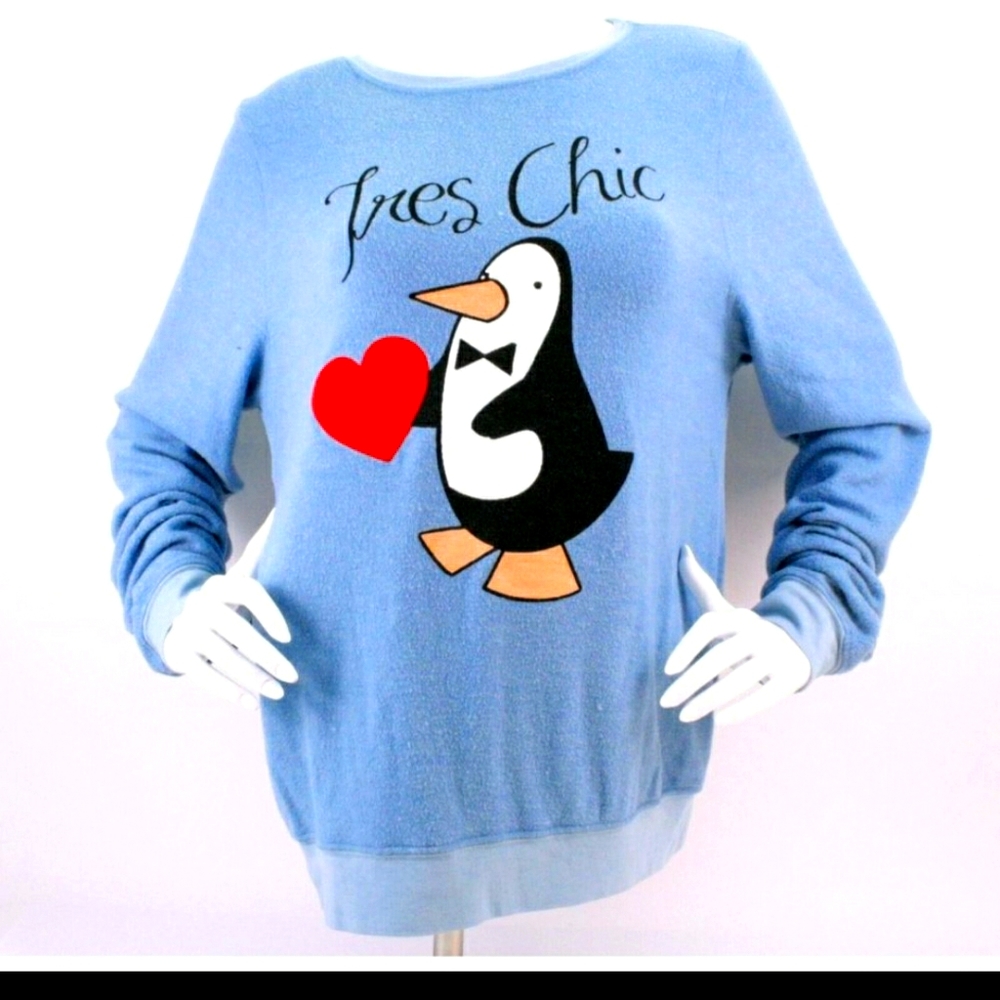 Dream Scene Wildfox Tres Chic Sweater